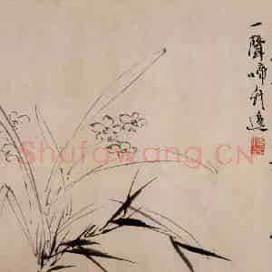 徐渭《杂花卷》国画花鸟作品图片鉴赏