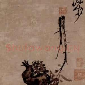 徐渭《榴实图》国画花鸟作品图片鉴赏