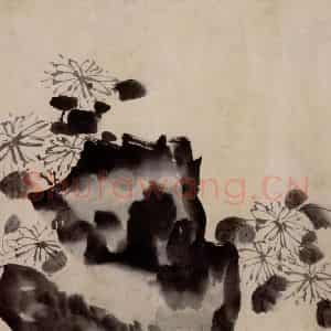 徐渭《杂花卷》国画花鸟作品图片鉴赏
