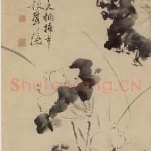 徐渭《五月莲花图》国画花鸟作品图片鉴赏