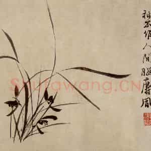 徐渭《杂花卷》国画花鸟作品图片鉴赏