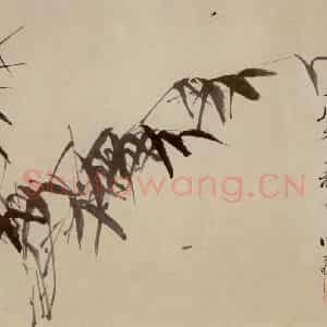 徐渭《杂花卷》国画花鸟作品图片鉴赏