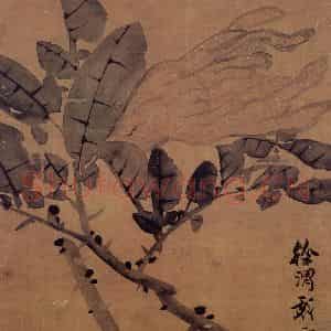 徐渭《佛手图》国画花鸟作品图片鉴赏