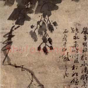徐渭《墨葡萄图》国画花鸟作品图片鉴赏