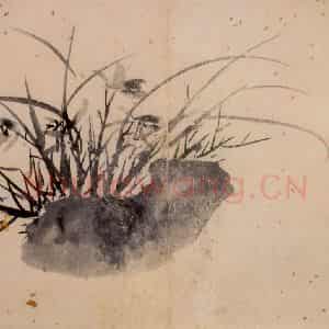 徐渭《花卉图册》国画花鸟作品图片鉴赏