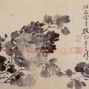 徐渭《花卉图册》国画花鸟作品图片鉴赏
