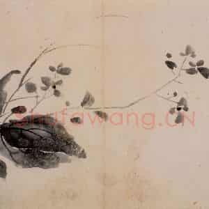 徐渭《花卉图册》国画花鸟作品图片鉴赏