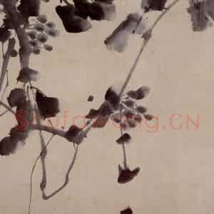 徐渭《杂花卷》国画花鸟作品图片鉴赏
