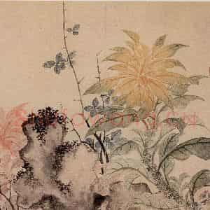 清代 恽寿平《写生花卉竹石图册》国画花鸟作品图片鉴赏
