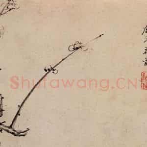 清代 高简、张照《梅花图册》国画花鸟作品图片鉴赏