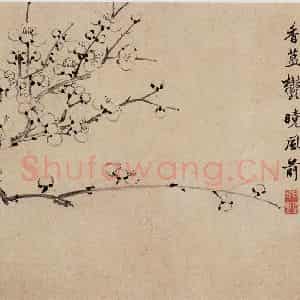 清代 高简、张照《梅花图册》国画花鸟作品图片鉴赏