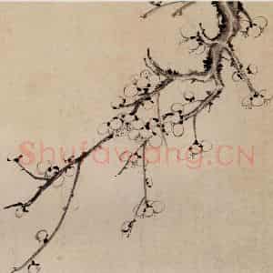 清代 高简、张照《梅花图册》国画花鸟作品图片鉴赏