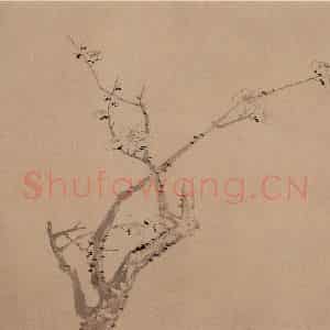清代 高简、张照《梅花图册》国画花鸟作品图片鉴赏