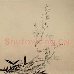 清代 高简、张照《梅花图册》国画花鸟作品图片鉴赏