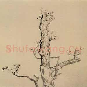 清代 高简、张照《梅花图册》国画花鸟作品图片鉴赏