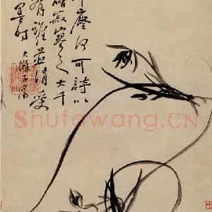 清代 原济《芳兰图》国画花鸟作品图片鉴赏