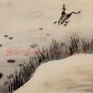 清代 高其佩《水中八事图册》国画花鸟作品图片鉴赏