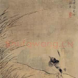 清代 颜岳《花鸟图册》国画花鸟作品图片鉴赏