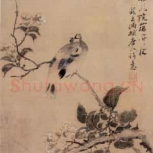 清代 颜岳《花鸟图册》国画花鸟作品图片鉴赏