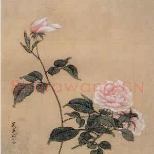 清代 颜岳《花鸟图册》国画花鸟作品图片鉴赏