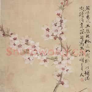 清代 颜岳《花鸟图册》国画花鸟作品图片鉴赏