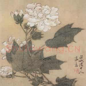 清代 颜岳《花鸟图册》国画花鸟作品图片鉴赏
