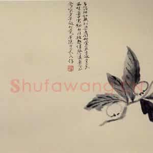 清代 陈撰《折枝花卉图册》国画花鸟作品图片鉴赏
