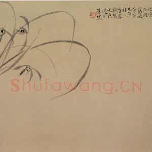 清代 陈撰《折枝花卉图册》国画花鸟作品图片鉴赏