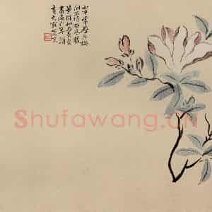清代 陈撰《折枝花卉图册》国画花鸟作品图片鉴赏