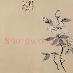 清代 陈撰《折枝花卉图册》国画花鸟作品图片鉴赏