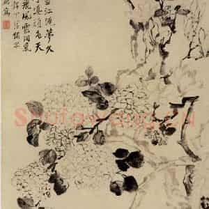 清代 李鳝《玉兰绣球图》国画花鸟作品图片鉴赏