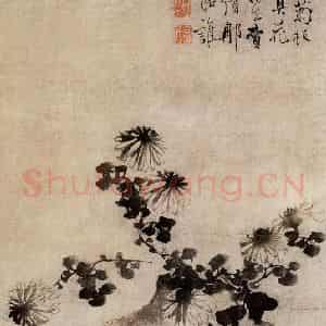 清代 边寿民《歪瓶依菊图》国画花鸟作品图片鉴赏