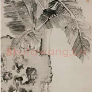 清代 闵贞《蕉石图》国画花鸟作品图片鉴赏