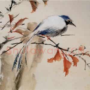 清代 虚谷《花鸟水族图册》国画花鸟作品图片鉴赏