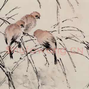清代 虚谷《花鸟水族图册》国画花鸟作品图片鉴赏