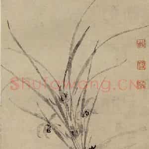 明代 周天球《兰花图》国画花鸟作品图片鉴赏