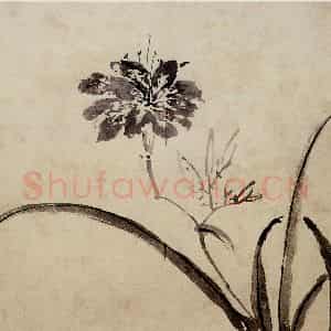 明代 周之冕《花卉图册》国画花鸟作品图片鉴赏