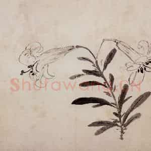 明代 周之冕《花卉图册》国画花鸟作品图片鉴赏