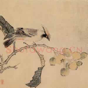 明代 王维新《花鸟图册》国画花鸟作品图片鉴赏