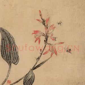 明代 王维新《花鸟图册》国画花鸟作品图片鉴赏