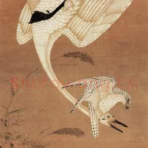 明代 殷偕《海青击鹄图》国画花鸟作品图片鉴赏