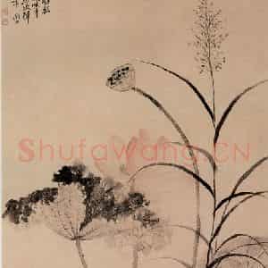清代 恽寿平《荷花芦草图》国画花鸟作品图片鉴赏