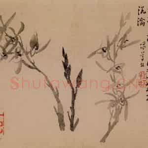 1753年 李方膺《三清图册》国画花鸟写意作品图片鉴赏