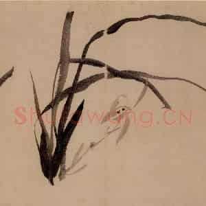 1753年 李方膺《三清图册》国画花鸟写意作品图片鉴赏
