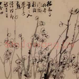 1753年 李方膺《三清图册》国画花鸟写意作品图片鉴赏