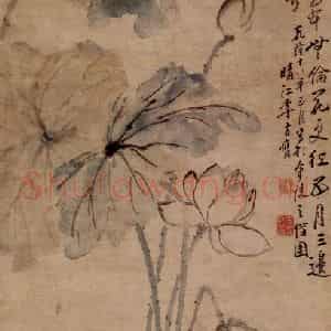 1753年 李方膺《荷花图》国画花鸟写意作品图片鉴赏
