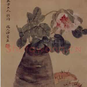 清代 赵之谦《牡丹灵芝图》国画花鸟作品图片鉴赏