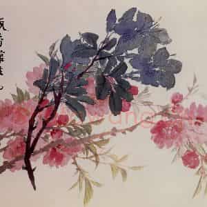 清代 赵之谦《花卉册》国画花鸟作品图片鉴赏