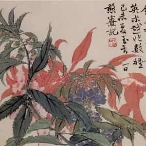 清代 赵之谦《花卉册》国画花鸟作品图片鉴赏