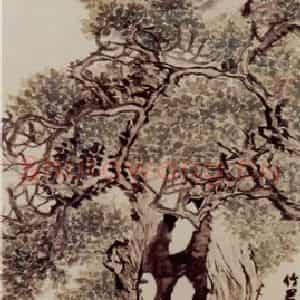 清代 赵之谦《古柏灵芝图》国画花鸟作品图片鉴赏